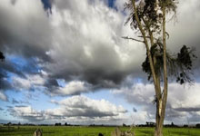 威廉希尔足球网:德甲第3輪拜仁慕尼黑4-3柏林赫塔 萊萬補時點球絕殺上演大四喜.