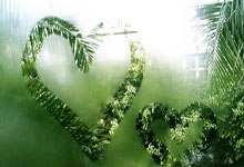 威廉希尔:得分爆發雄風 克內克特單節斬獲21分 2024屆新秀中僅五人達此成就.